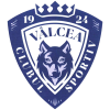 Clubul Sportiv Vâlcea 1924