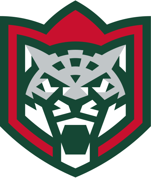 Ak Bars Kazan