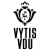 Šakiai Vytis-VDU